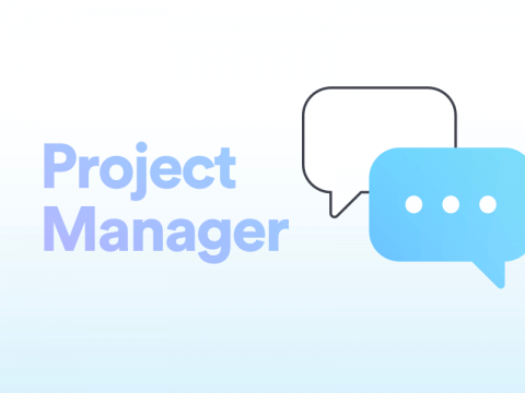 Project Manager