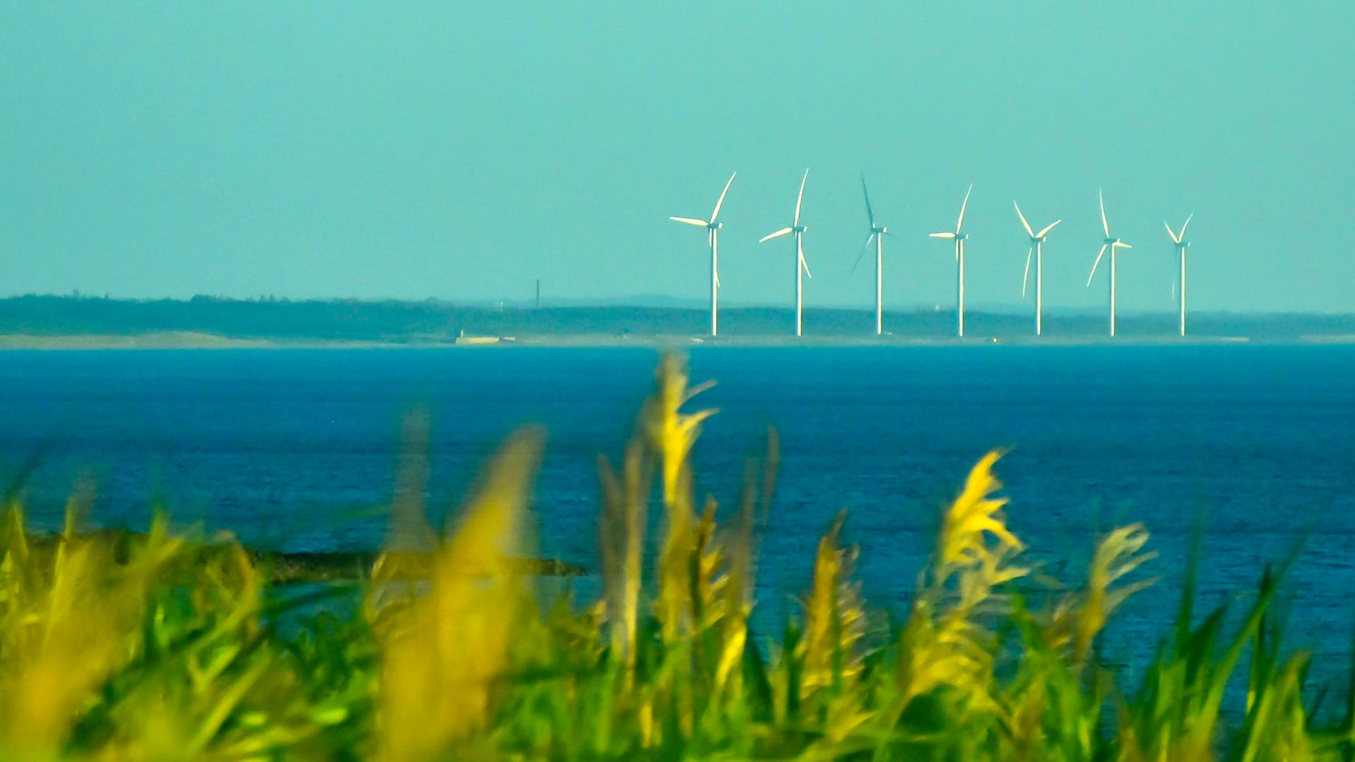 Understanding Japan’s Energy Transition: A Guide for New Entrants